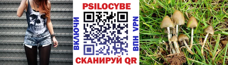Псилоцибиновые грибы Cubensis  Купить закладки  Клин 